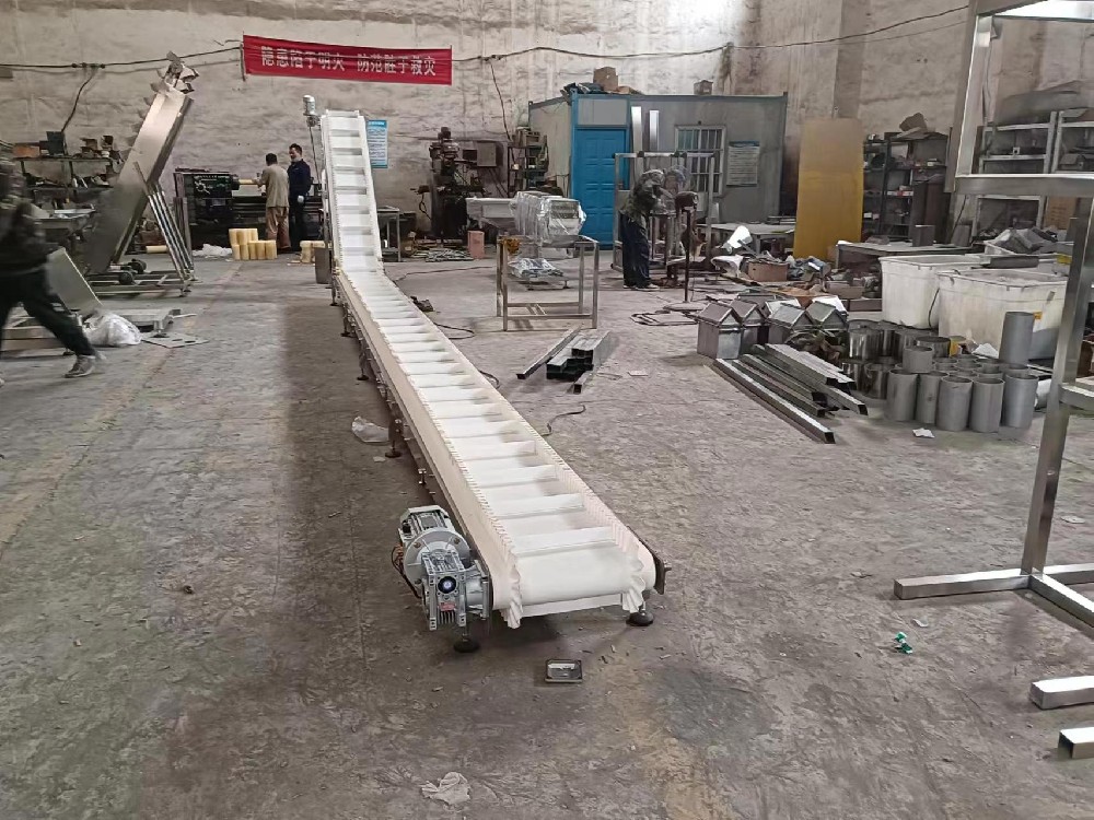 萍乡Z型裙边皮带输送机